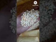 玉米芽油抽出機