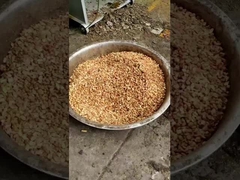 6YL-290 スクリップオイルプレス機 ピーナッツオイルをプレスする