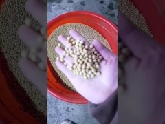 ソーヤ豆オイルプレス機