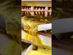 ラップス油プレッサー