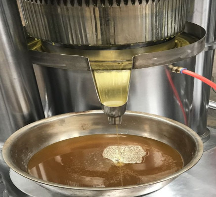 1.1KW 簡単操作 液圧油圧機 オリーブ芝麻油製造機 6YY-185 アボカド油加工設備